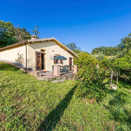 Holiday Home Grilli By Interhome Scansano Zewnętrze zdjęcie