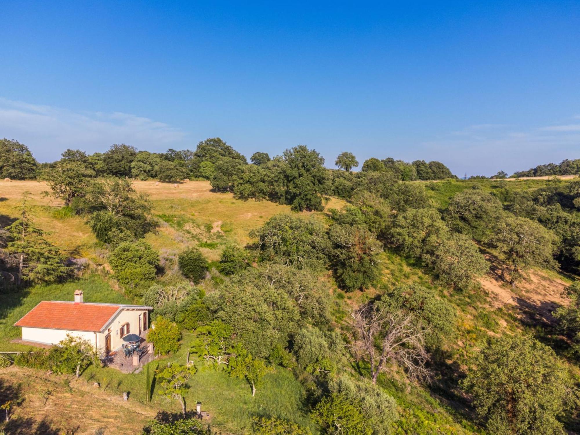 Holiday Home Grilli By Interhome Scansano Zewnętrze zdjęcie